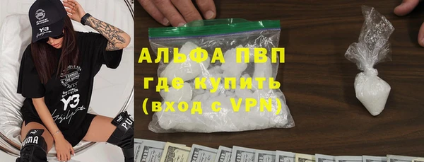 индика Алексин