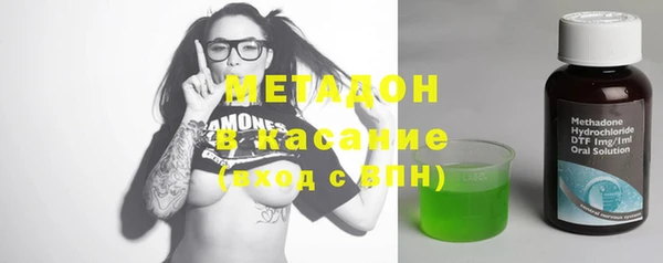 индика Алексин