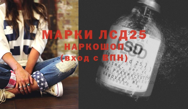 индика Алексин