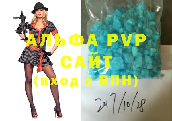 индика Алексин