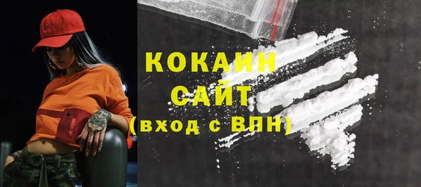 индика Алексин