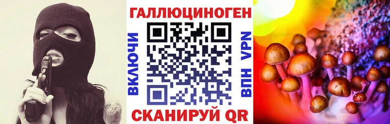 купить   Советская Гавань  Галлюциногенные грибы Psilocybe 