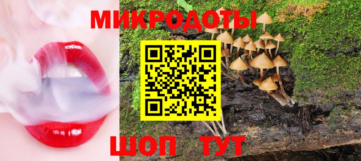 Советская Гавань  Псилоцибиновые грибы Magic Shrooms  Вход с VPN 